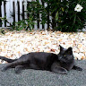 Meet your Posher, Samuel